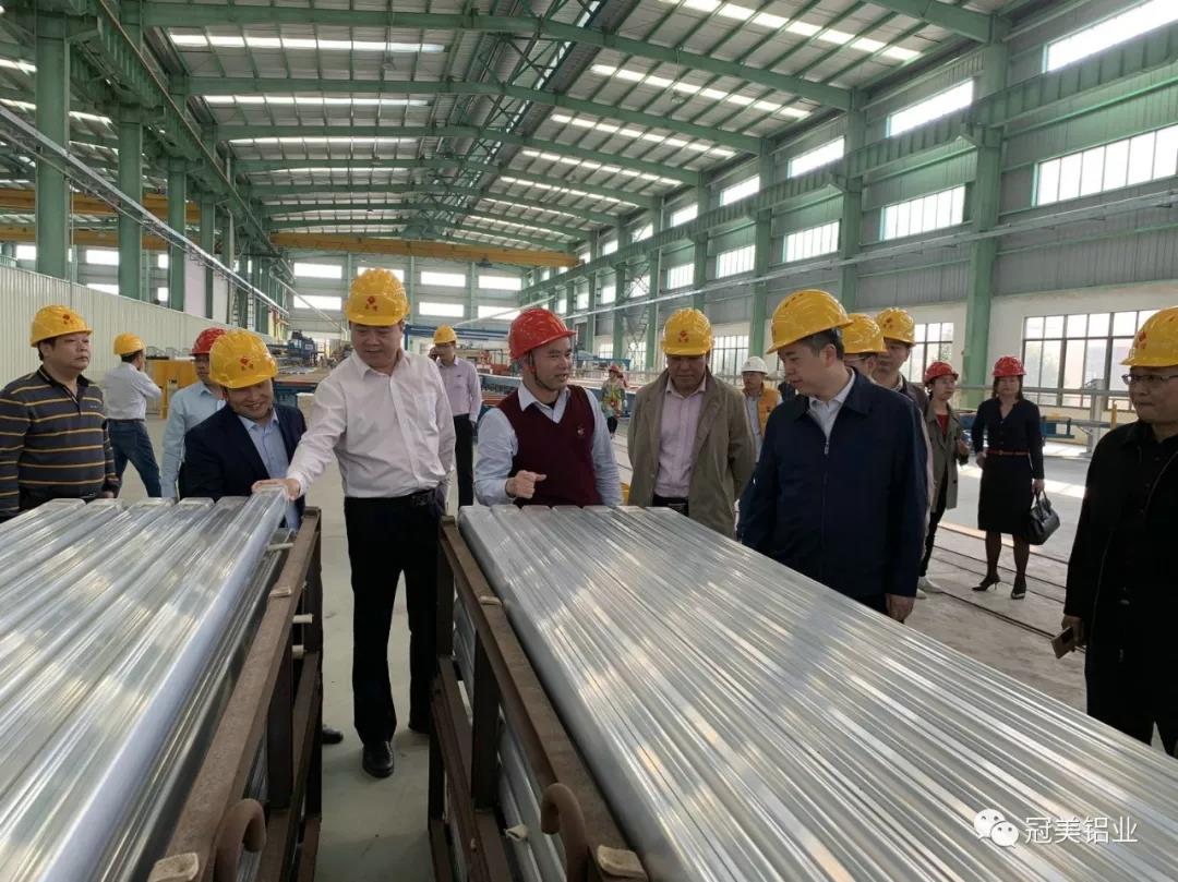 市委黃晨光書記蒞臨我公司視察指導工作